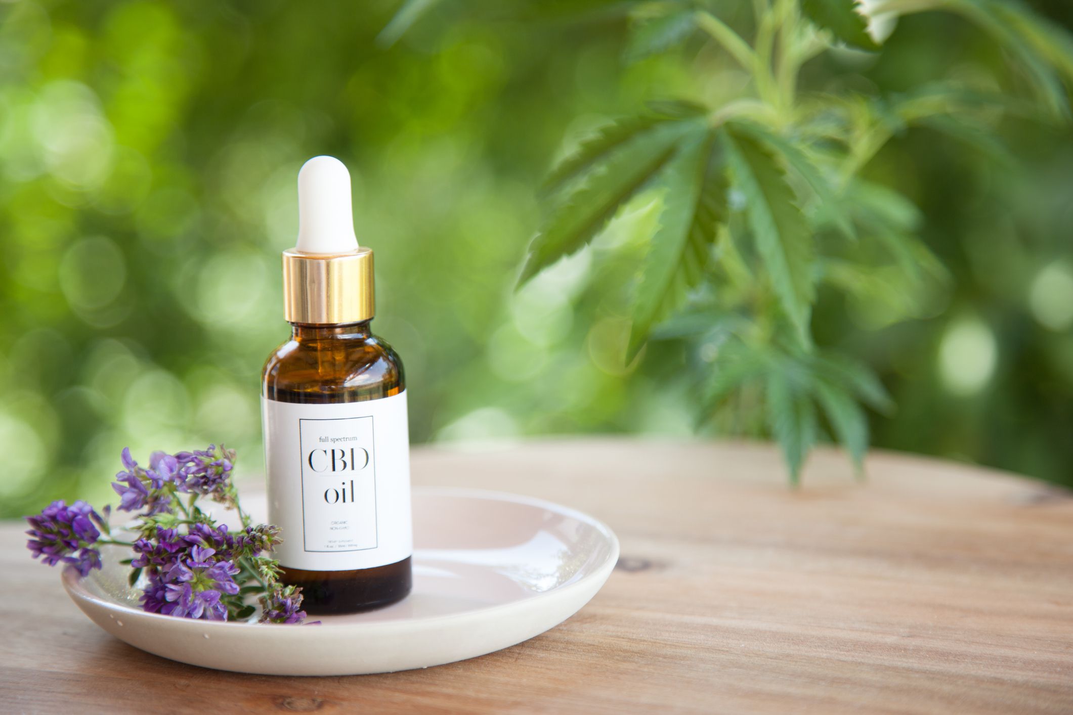 Best cbd oil